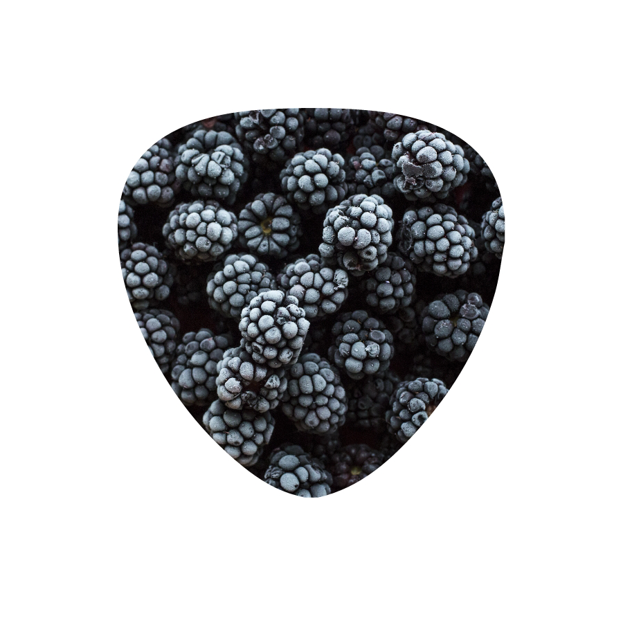blackberries